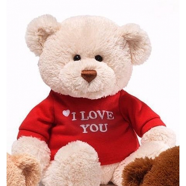 Gund I LOVE YOU Cream Teddy Bear 319714 